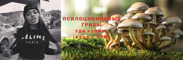 ПСИЛОЦИБИНОВЫЕ ГРИБЫ Алзамай