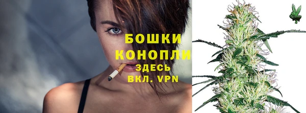 гидра Абаза