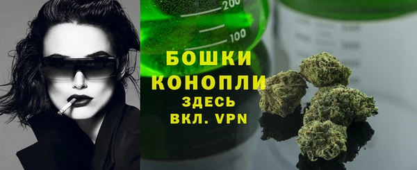 ПСИЛОЦИБИНОВЫЕ ГРИБЫ Алзамай