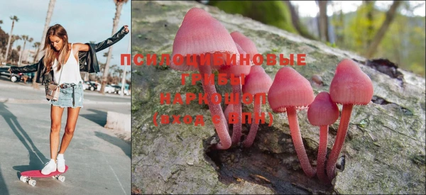 гидра Абаза