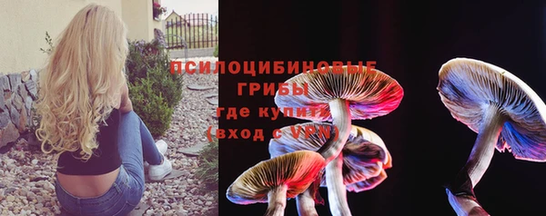 ПСИЛОЦИБИНОВЫЕ ГРИБЫ Алзамай