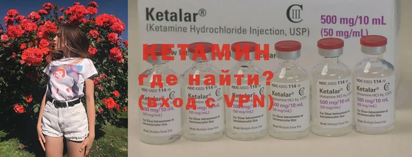 гидра Абаза