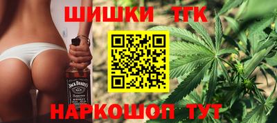 гидра Кингисепп