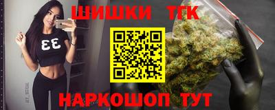гидра Кингисепп