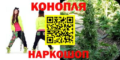 гидра Кингисепп