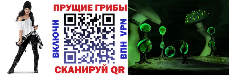 купить наркоту  маркетплейс клад  Псилоцибиновые грибы ЛСД  Комсомольск-на-Амуре 