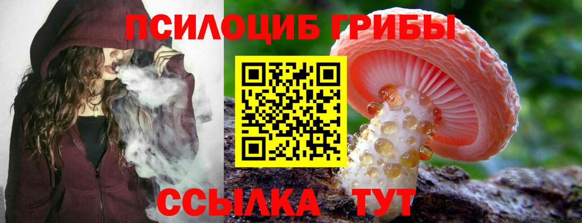 Комсомольск-на-Амуре  Галлюциногенные грибы прущие грибы  Вход с VPN 